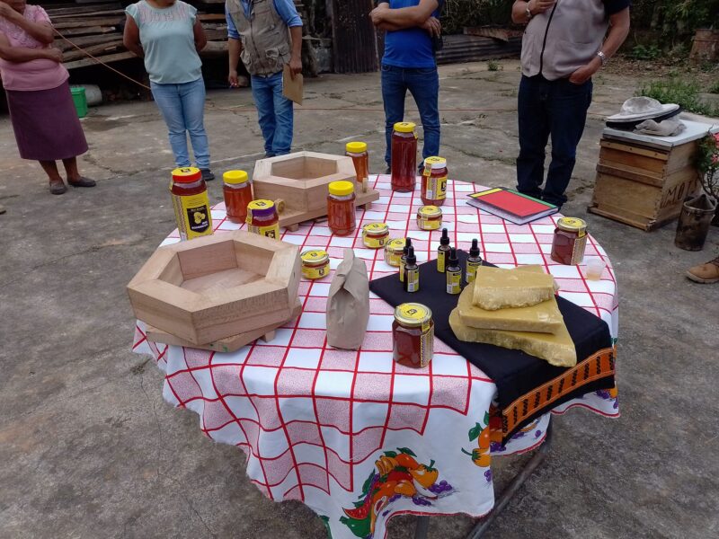 Meil Kosamalotl (Tzopeltzin Kosamalotl Nektli) - Productor de Miel y Productos Apiarios, venta al Mayoreo y Menudeo.