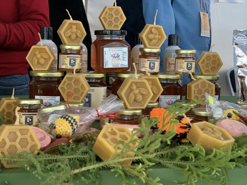 Meil Kosamalotl (Tzopeltzin Kosamalotl Nektli) - Productor de Miel y Productos Apiarios, venta al Mayoreo y Menudeo.