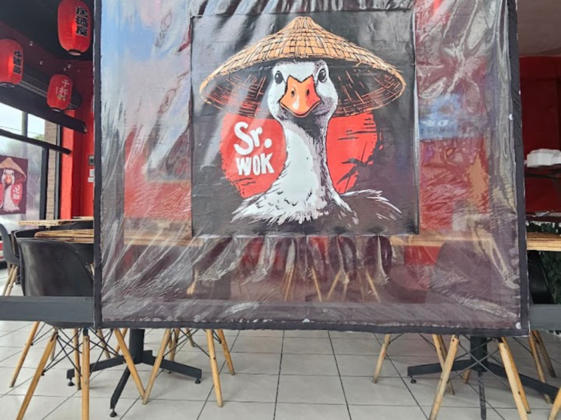 Sr. Wok - Comida China