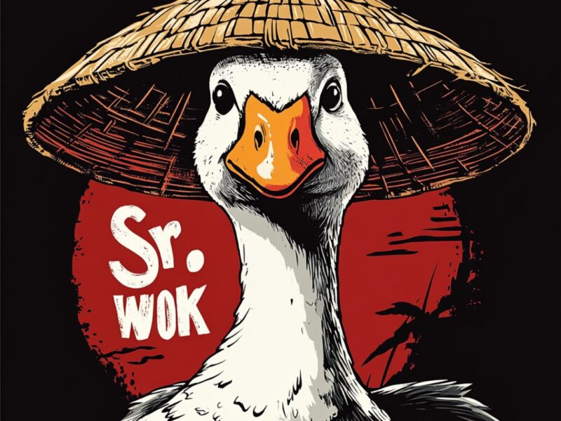 Sr. Wok - Comida China